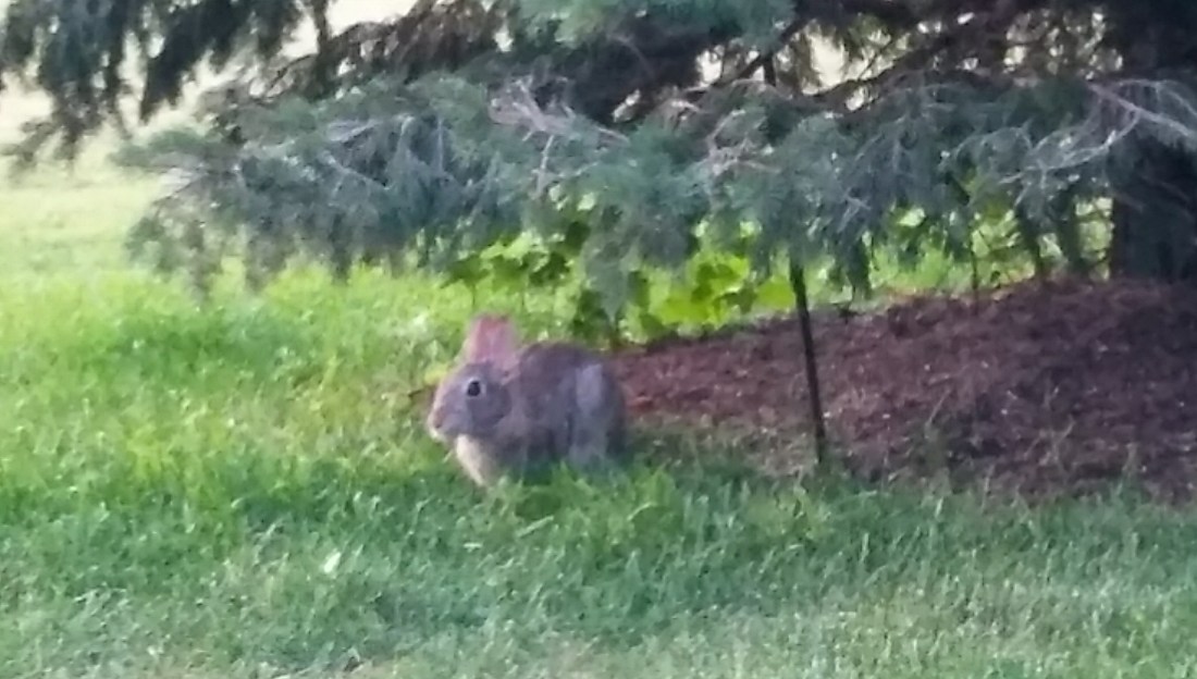 20180730_202948_HDR-1