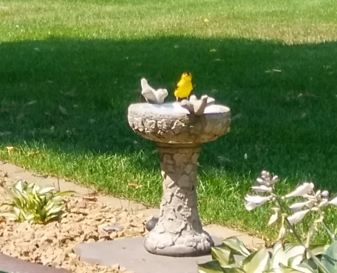 20180812_143220_HDR-1