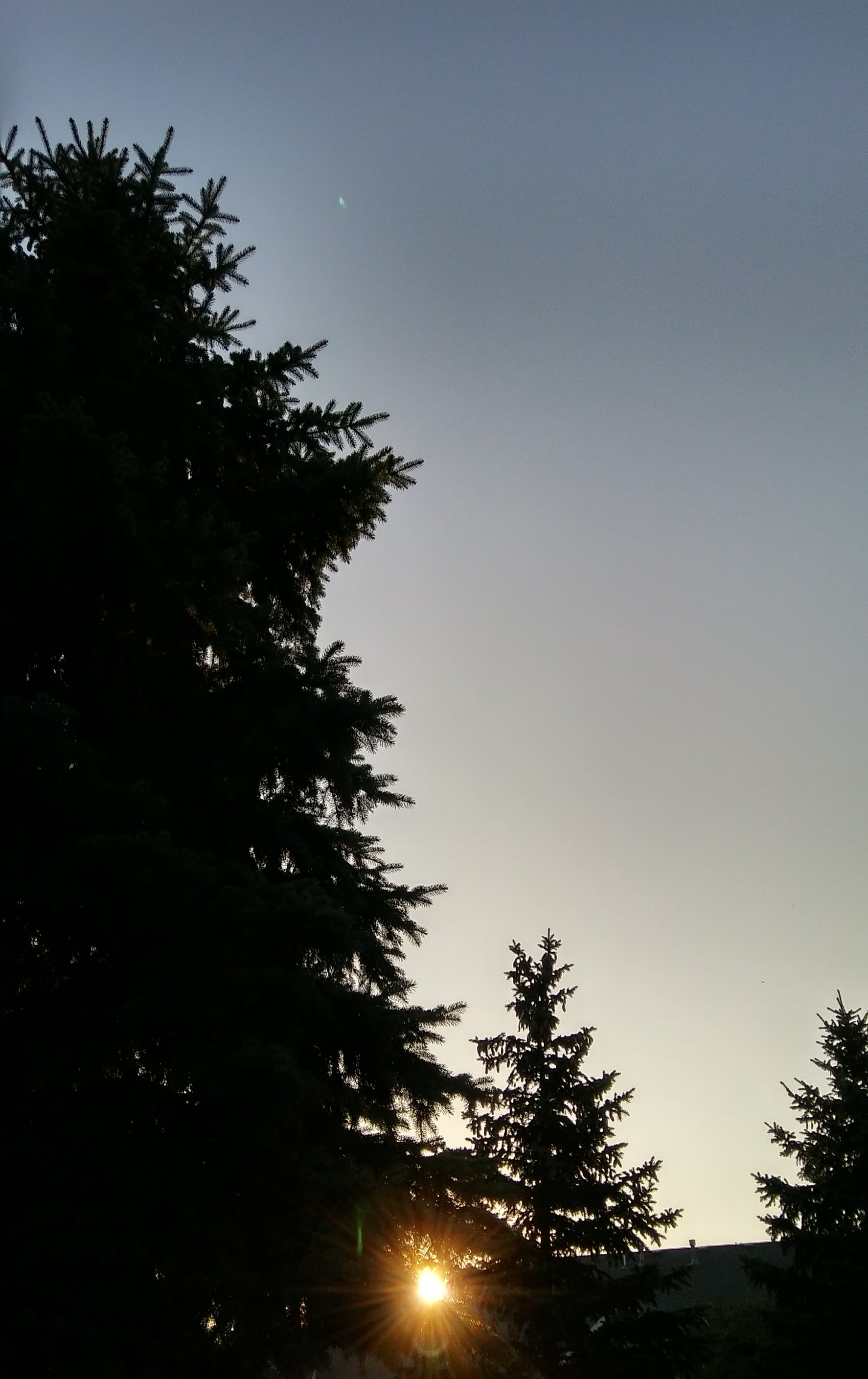 20180823_070356_HDR-1.jpg