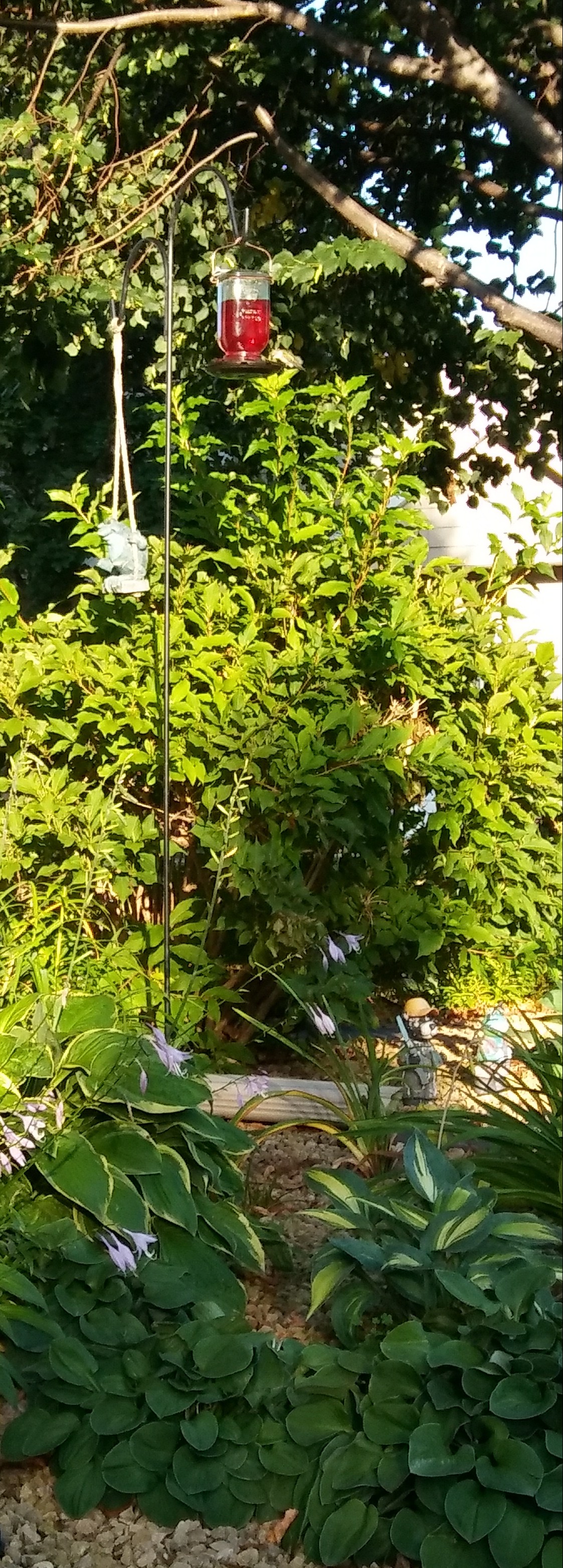 20180915_081630-1(1)