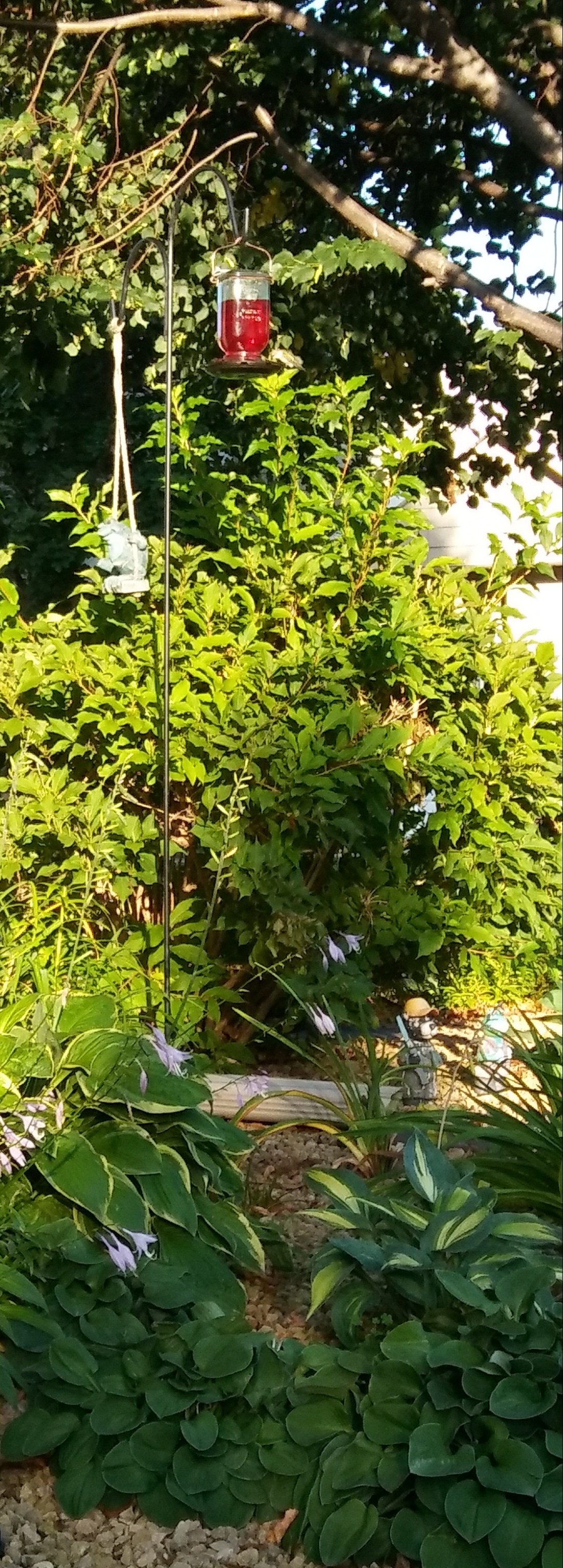 20180915_081630-1(1)