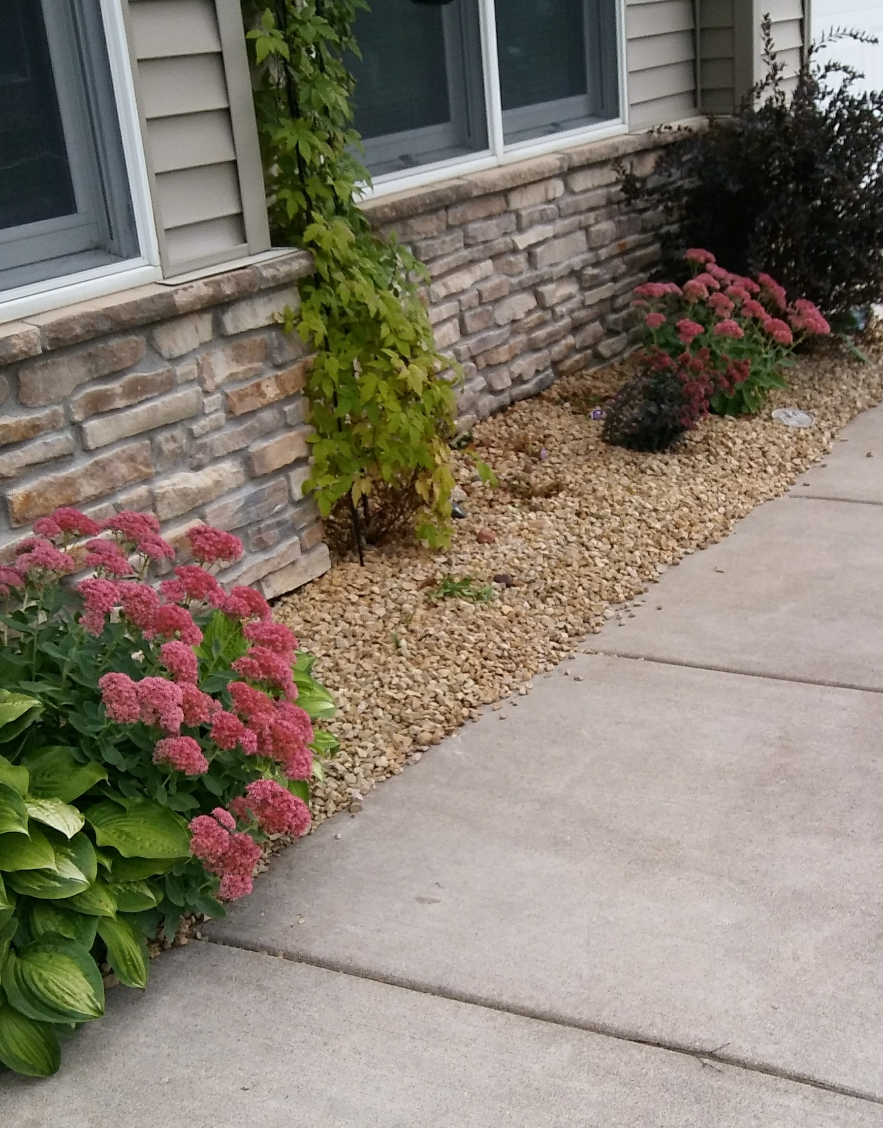 20180929_111851-1(1)