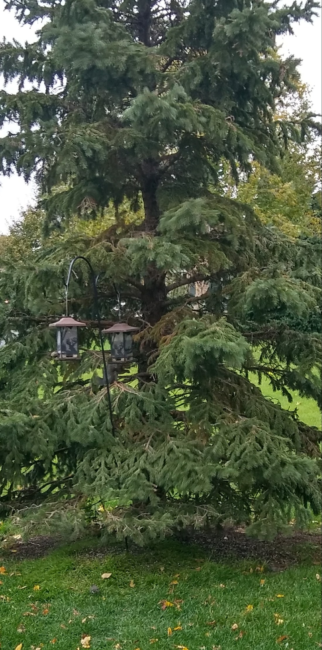 20181013_141728_HDR-1