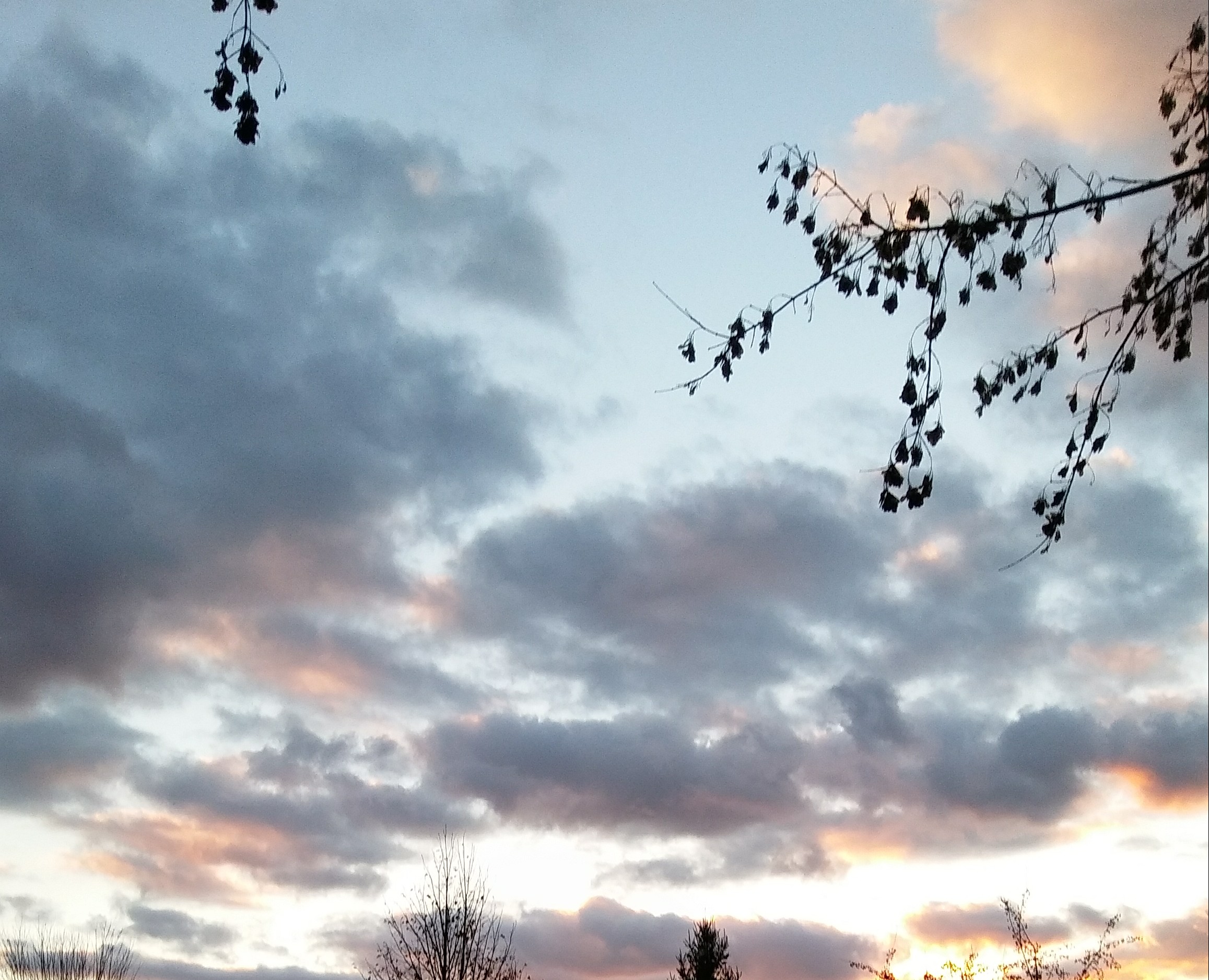 20181028_175908_HDR-1