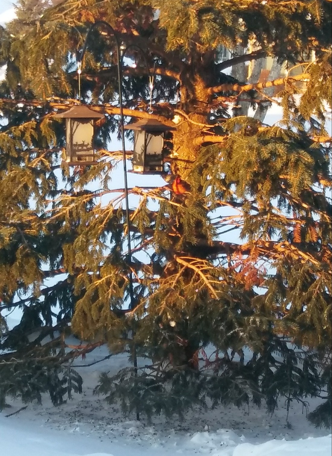 20190214_165813_Burst01-1