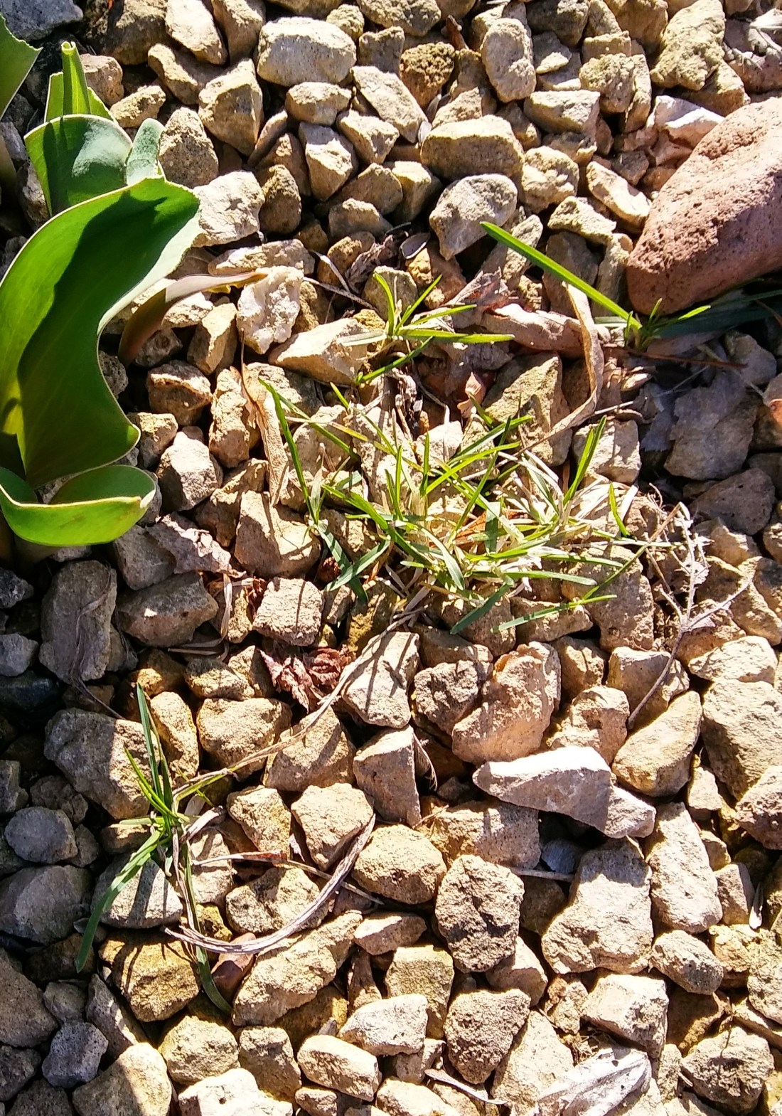 20190503_171827_HDR-1