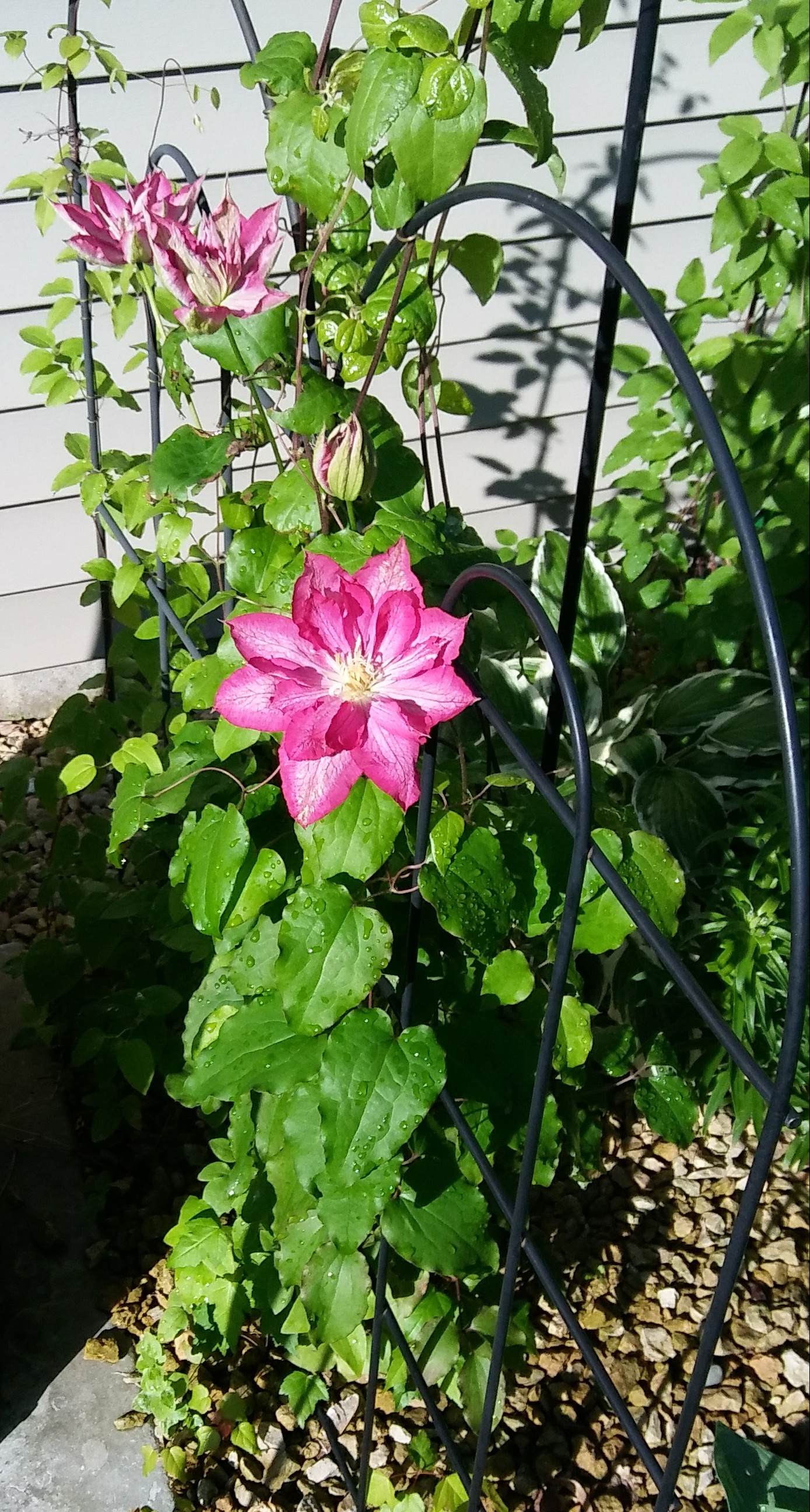 20190606_080041-1