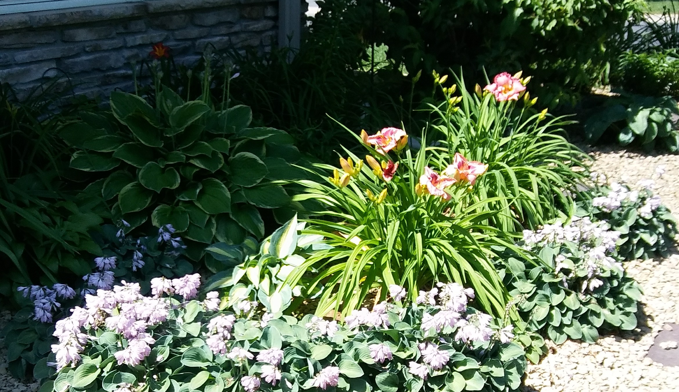 20190722_120943_HDR-1