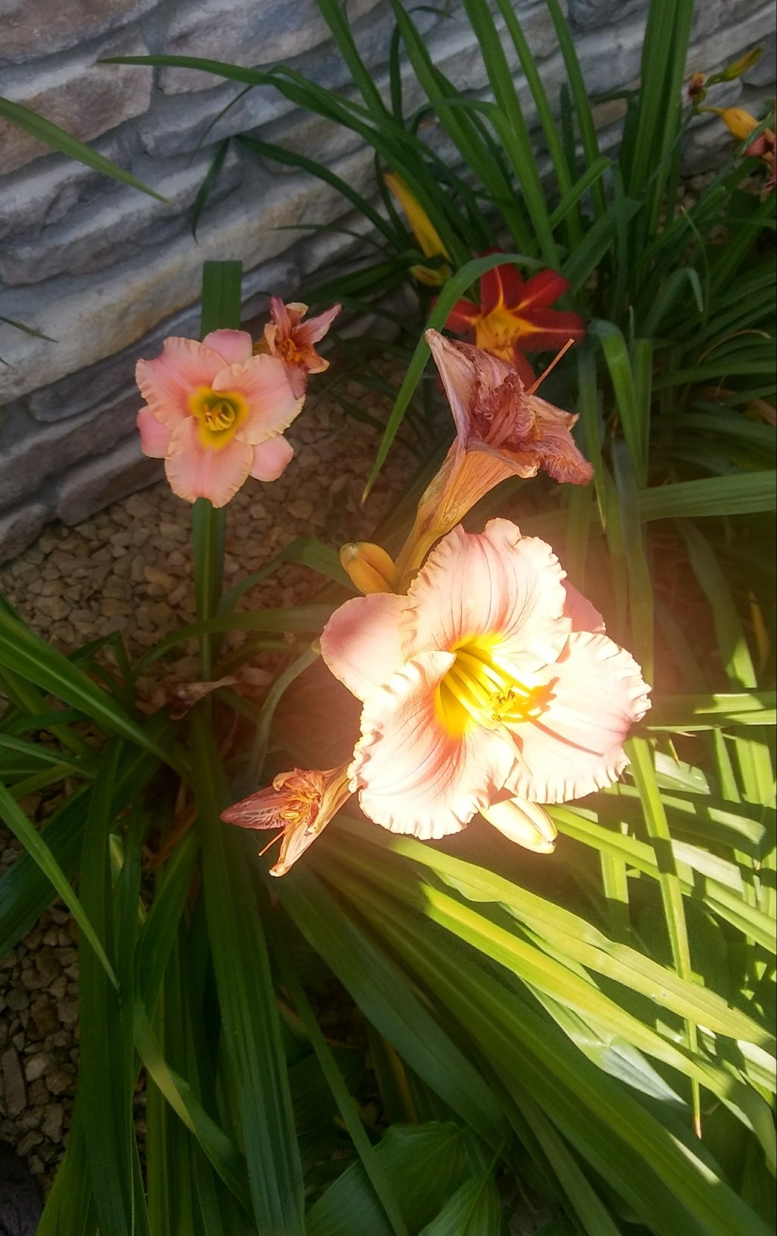 20190731_102507_HDR-1